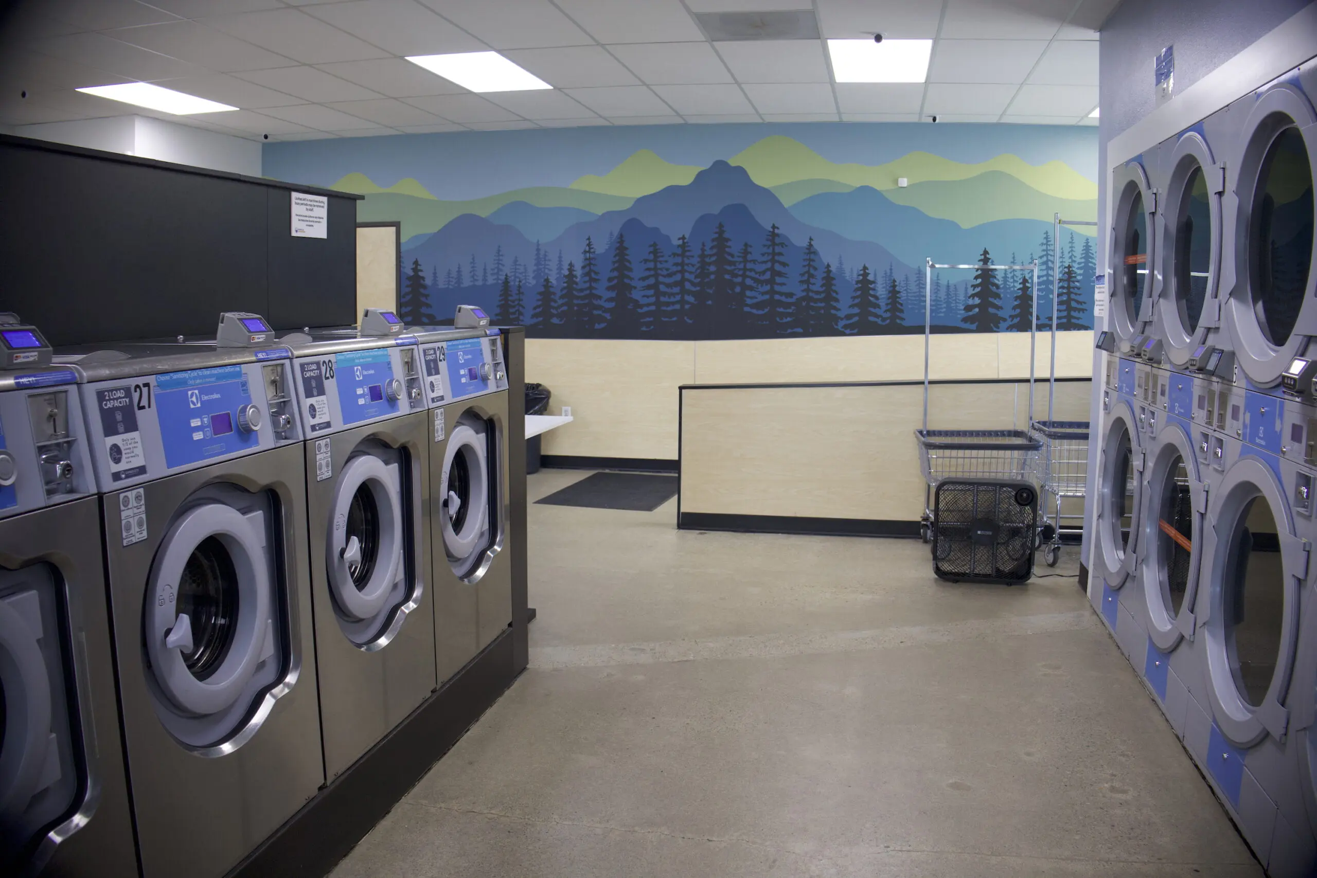 A laundromat interior with a painted mountain mural and rows of front-load machines
